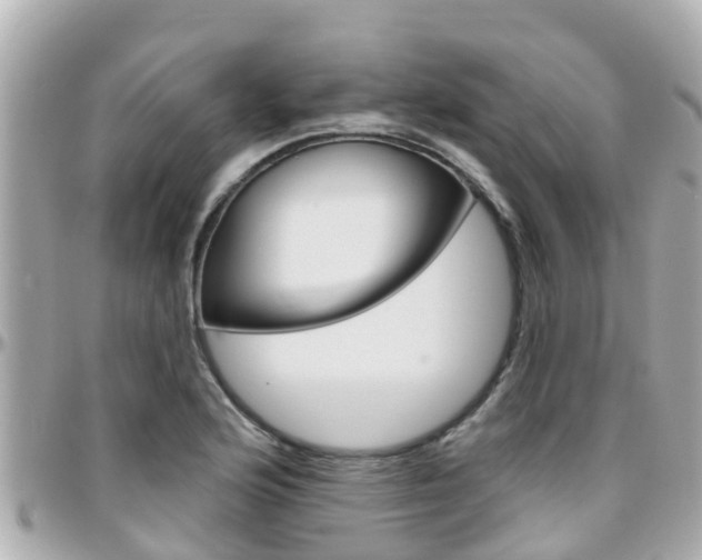 X0000096451176200801241133