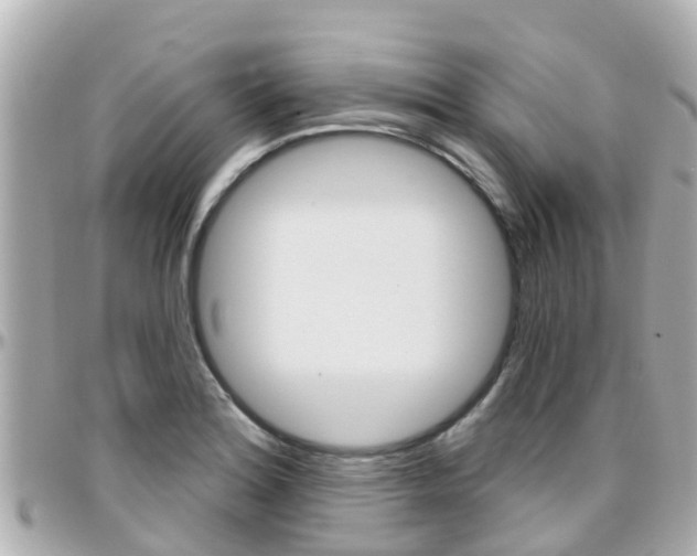 X0000096451180200801241133