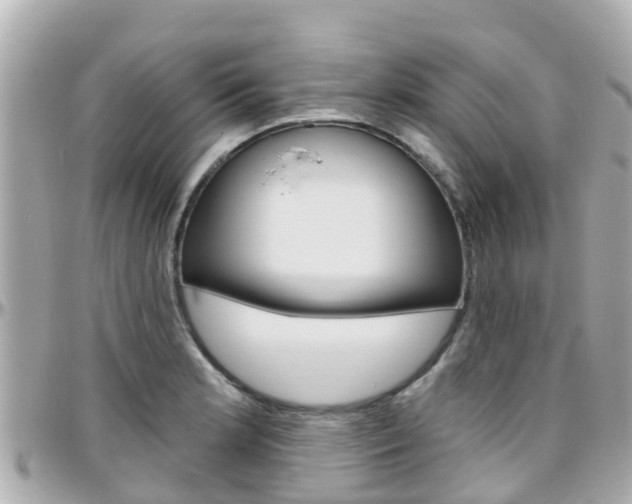 X0000096451181200801241133