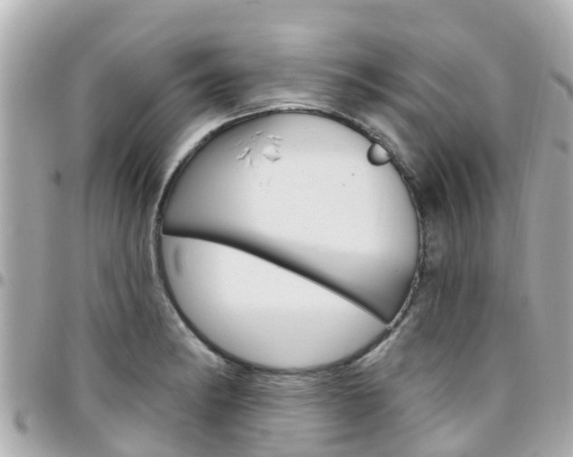 X0000096451182200801241133