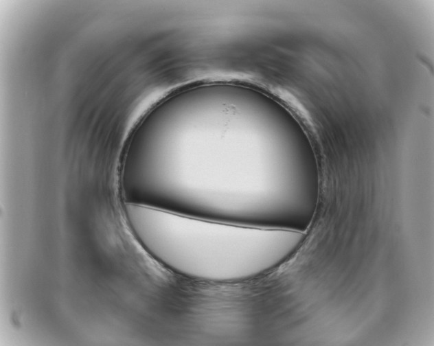 X0000096451183200801241133