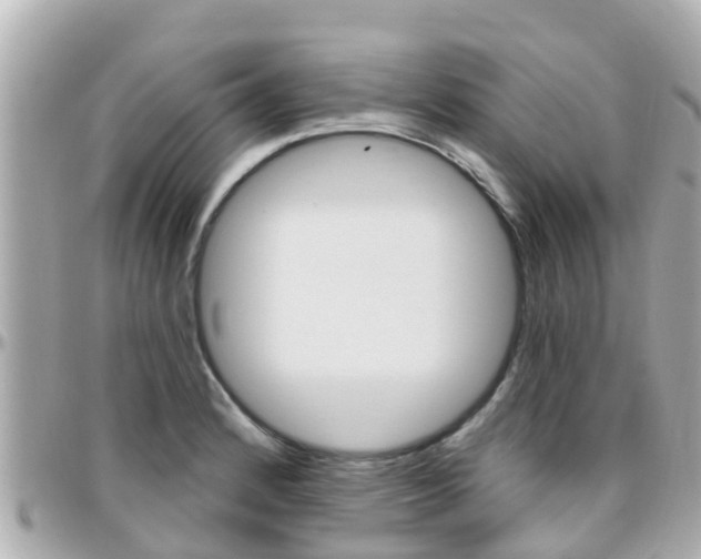X0000096451184200801241133