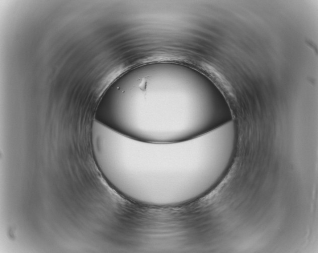 X0000096451185200801241133