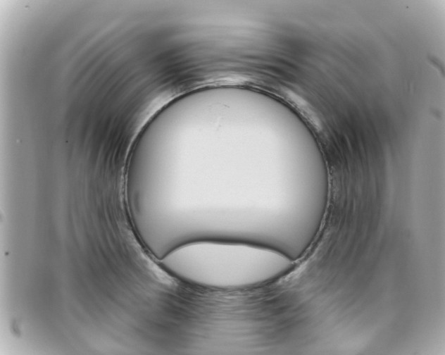 X0000096451186200801241133