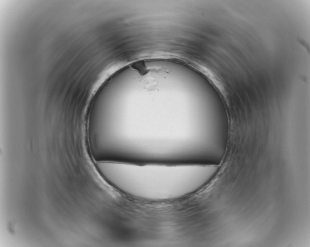 X0000096451187200801241133