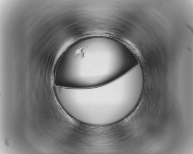 X0000096451188200801241133