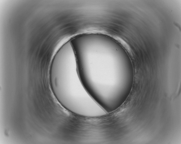 X0000096451191200801241133