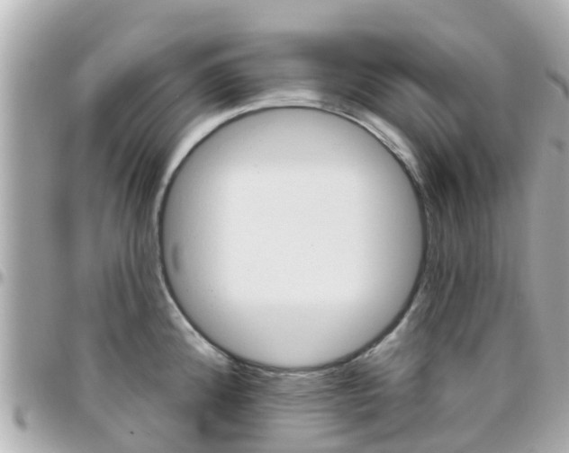 X0000096451192200801241133