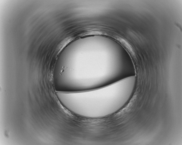 X0000096451193200801241133