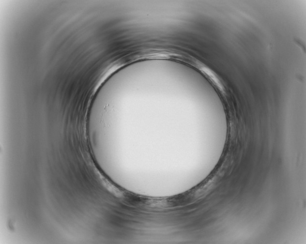 X0000096451194200801241133