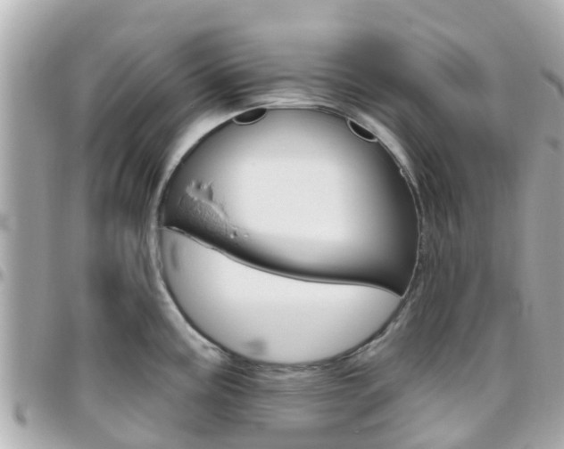 X0000096451195200801241133