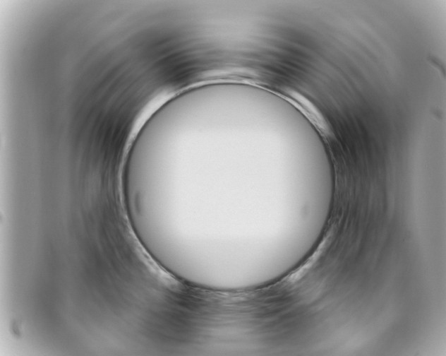 X0000096451196200801241133