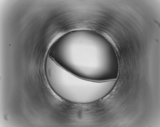 X0000096451197200801241133