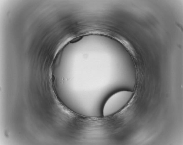 X0000096451198200801241133
