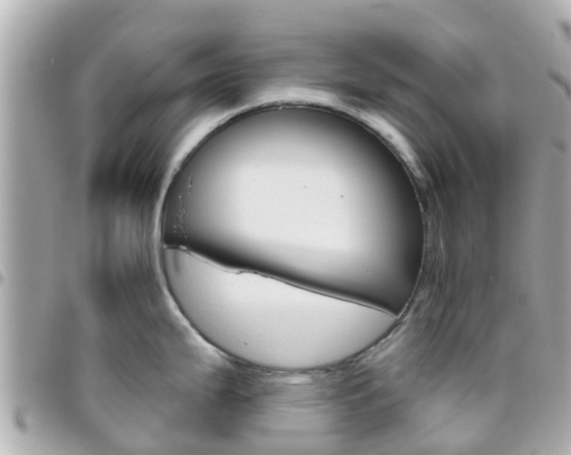 X0000096451199200801241133