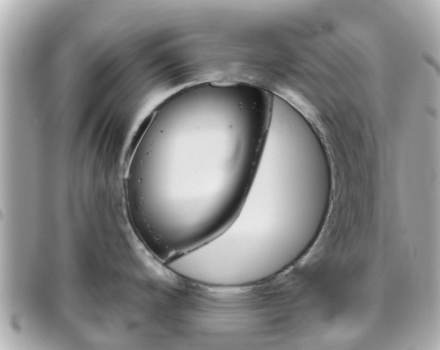 X0000096451200200801241133