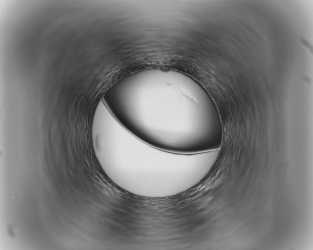 X0000096451202200801241132