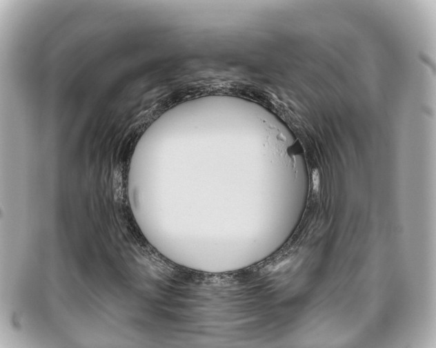 X0000096451203200801241132