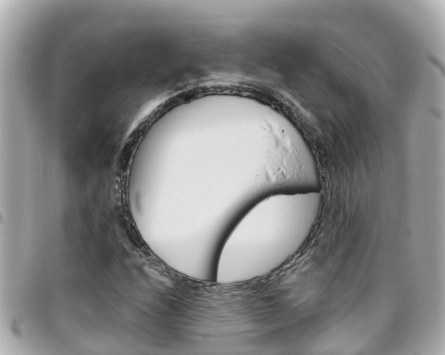 X0000096451208200801241132