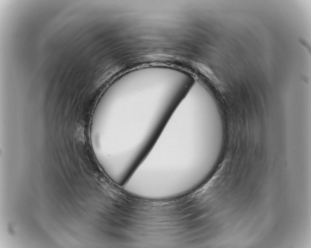 X0000096451209200801241132