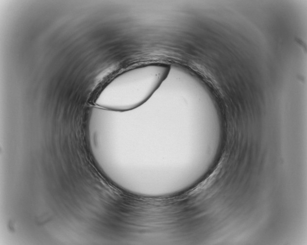 X0000096451210200801241132