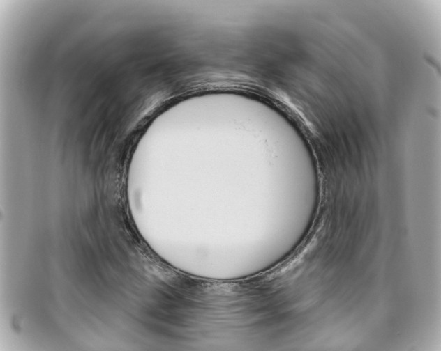 X0000096451211200801241132