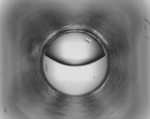 X0000096451213200801241132