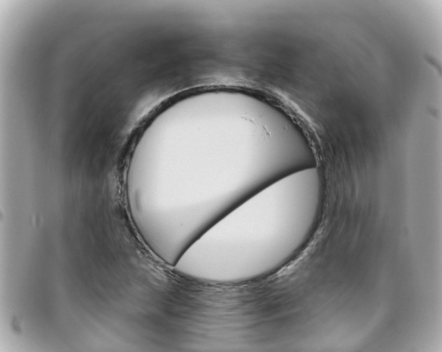 X0000096451215200801241132