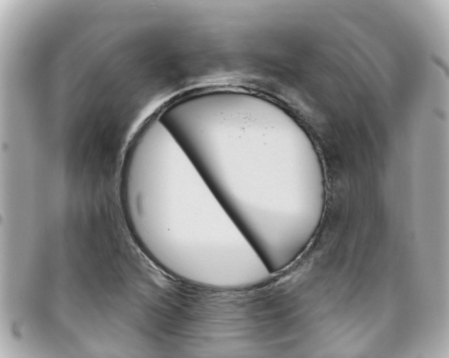 X0000096451216200801241132