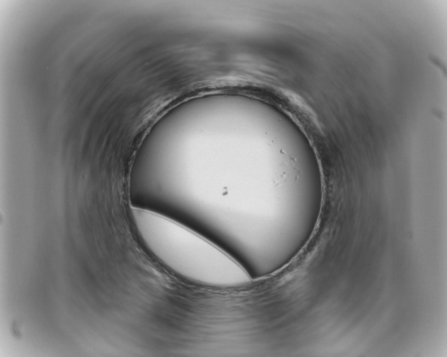 X0000096451217200801241132
