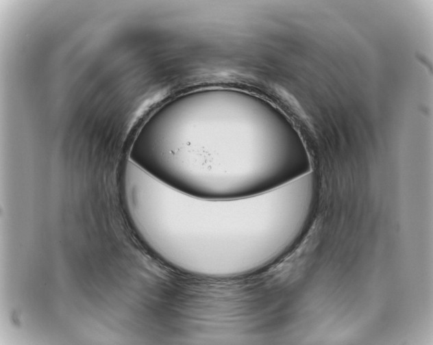 X0000096451218200801241132