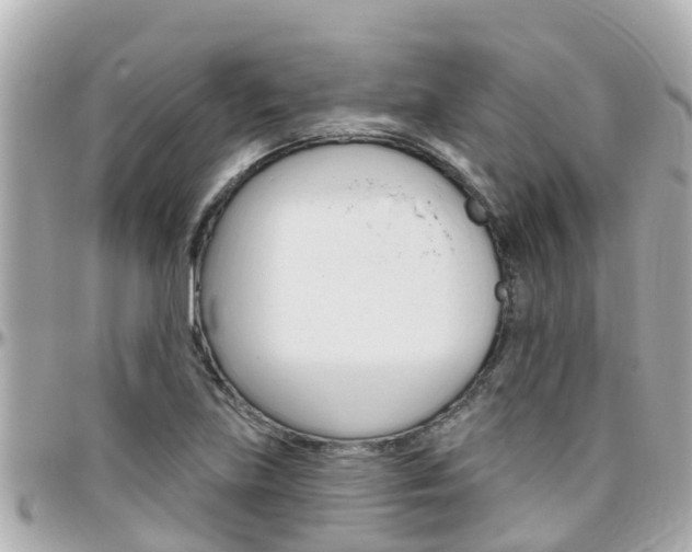 X0000096451219200801241132