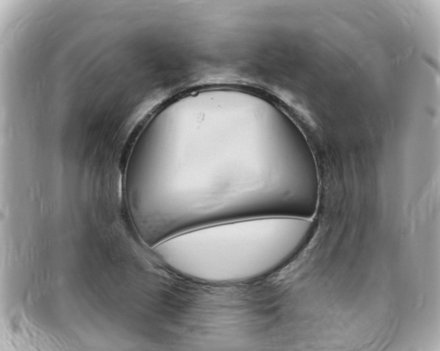 X0000096451221200801241133