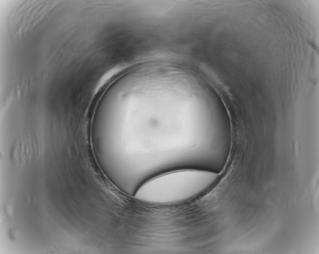 X0000096451222200801241133