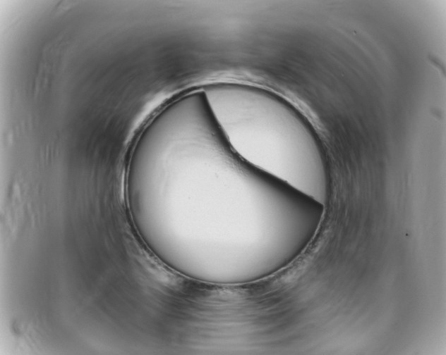 X0000096451224200801241133