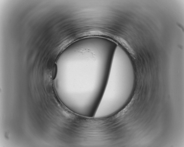 X0000096451225200801241133