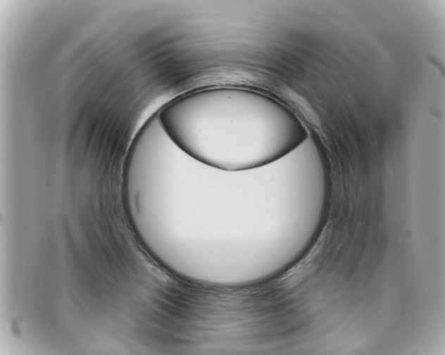 X0000096451226200801241133
