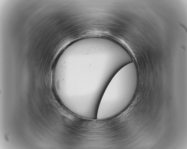 X0000096451227200801241133