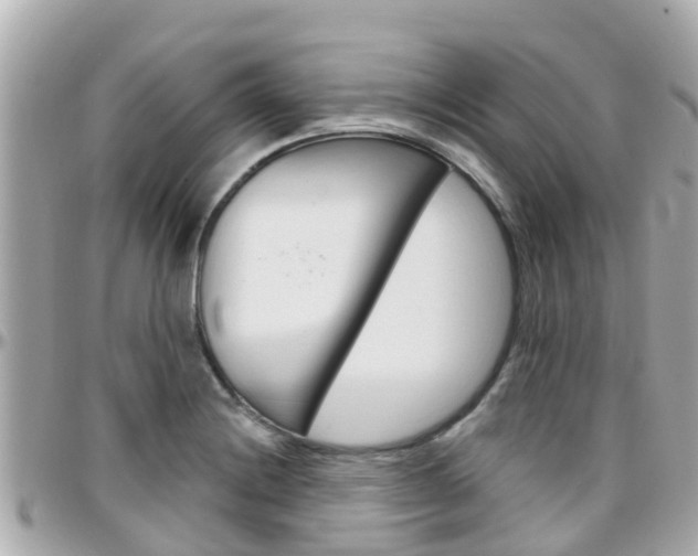 X0000096451228200801241133