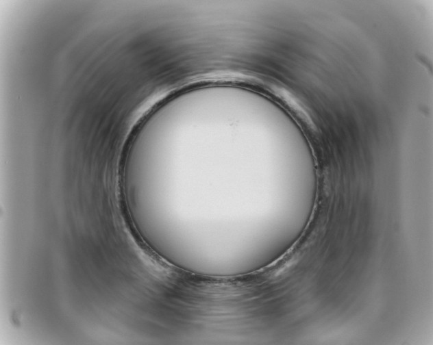 X0000096451229200801241133