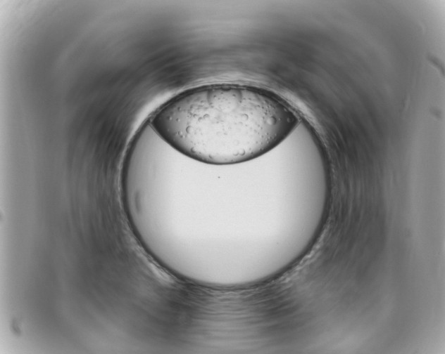X0000096451230200801241133