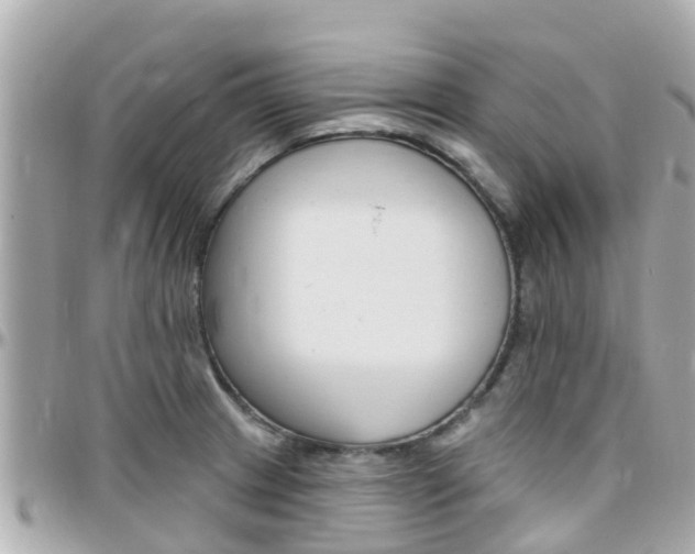 X0000096451233200801241133