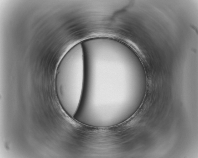 X0000096451236200801241133