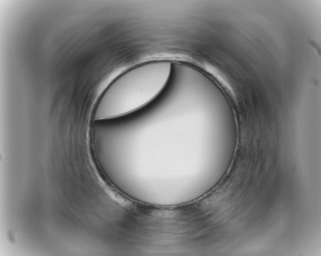 X0000096451237200801241133