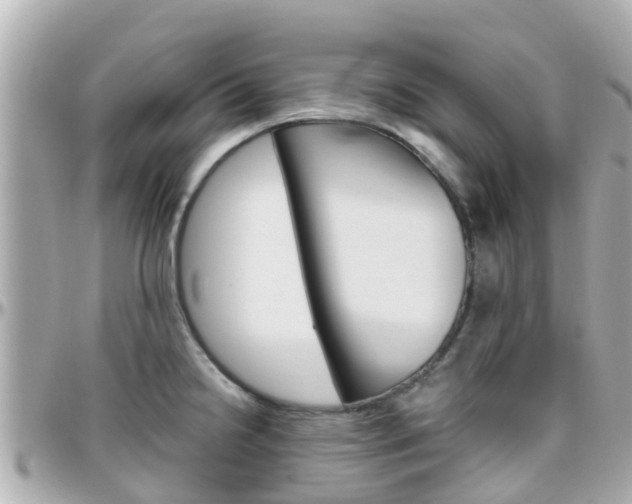 X0000096451238200801241133