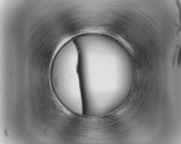 X0000096451240200801241133