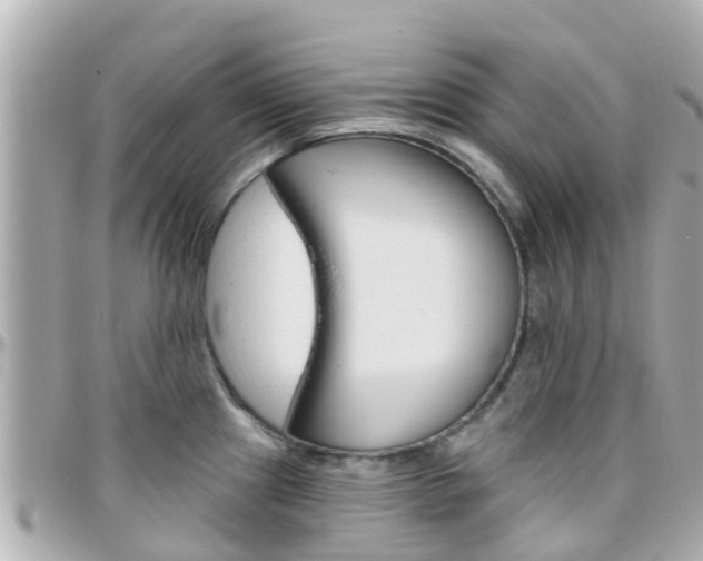 X0000096451241200801241133