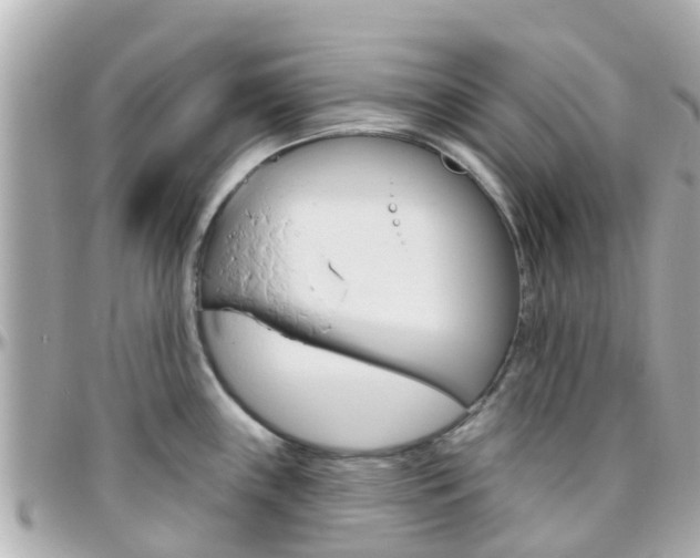 X0000096451243200801241133