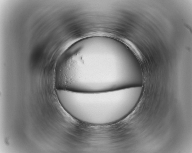 X0000096451244200801241133