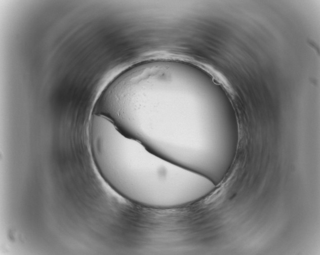 X0000096451247200801241133